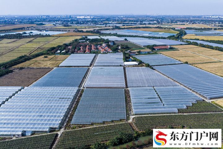 浙江深化新时代“千万工程” 绘就共同富裕新图景(图3) 浙江深化新时代“千万工程” 绘就共同富裕新图景(图3)