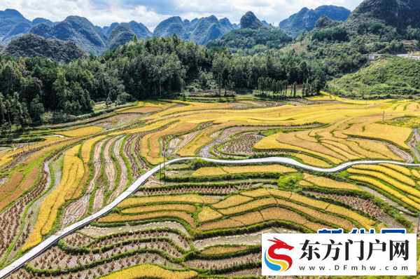 黔南农业：筑牢根基兴产业 提质增效谱新篇(图1)