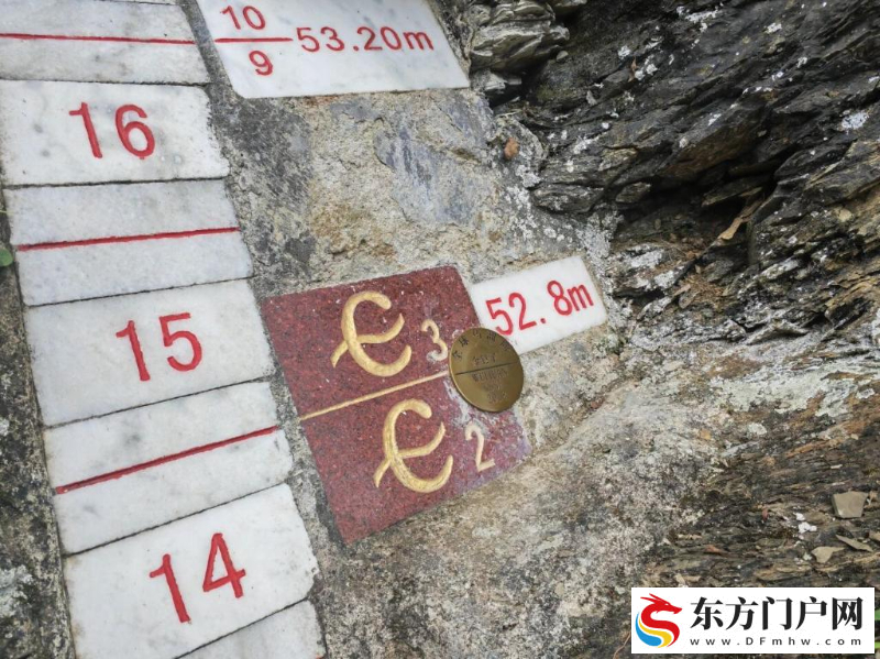 “金钉子”，面临失管难题(图1)