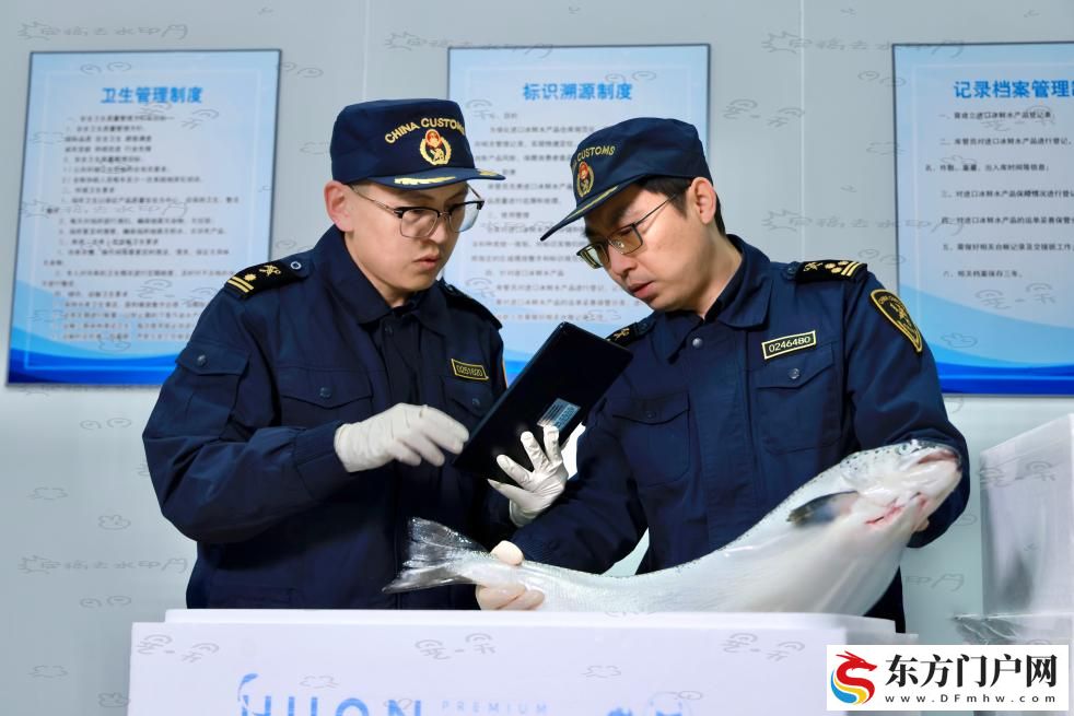 “生鲜产品绿色通道”高效畅通 300余吨三文鱼乘飞机从天津入关(图1)