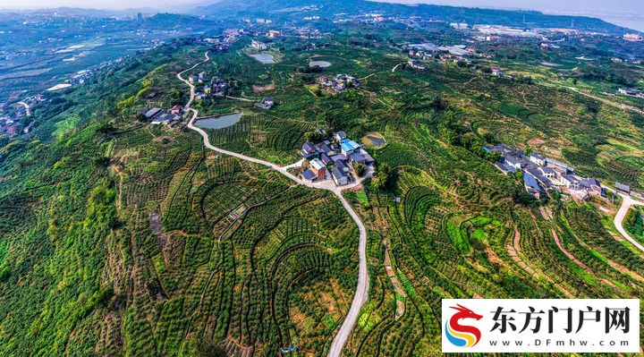 品读“长江要津之城”(图3) 品读“长江要津之城”(图3)